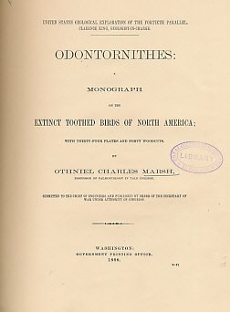 Odontornithes. A Monograph on the Extinct toothed Birds of North America