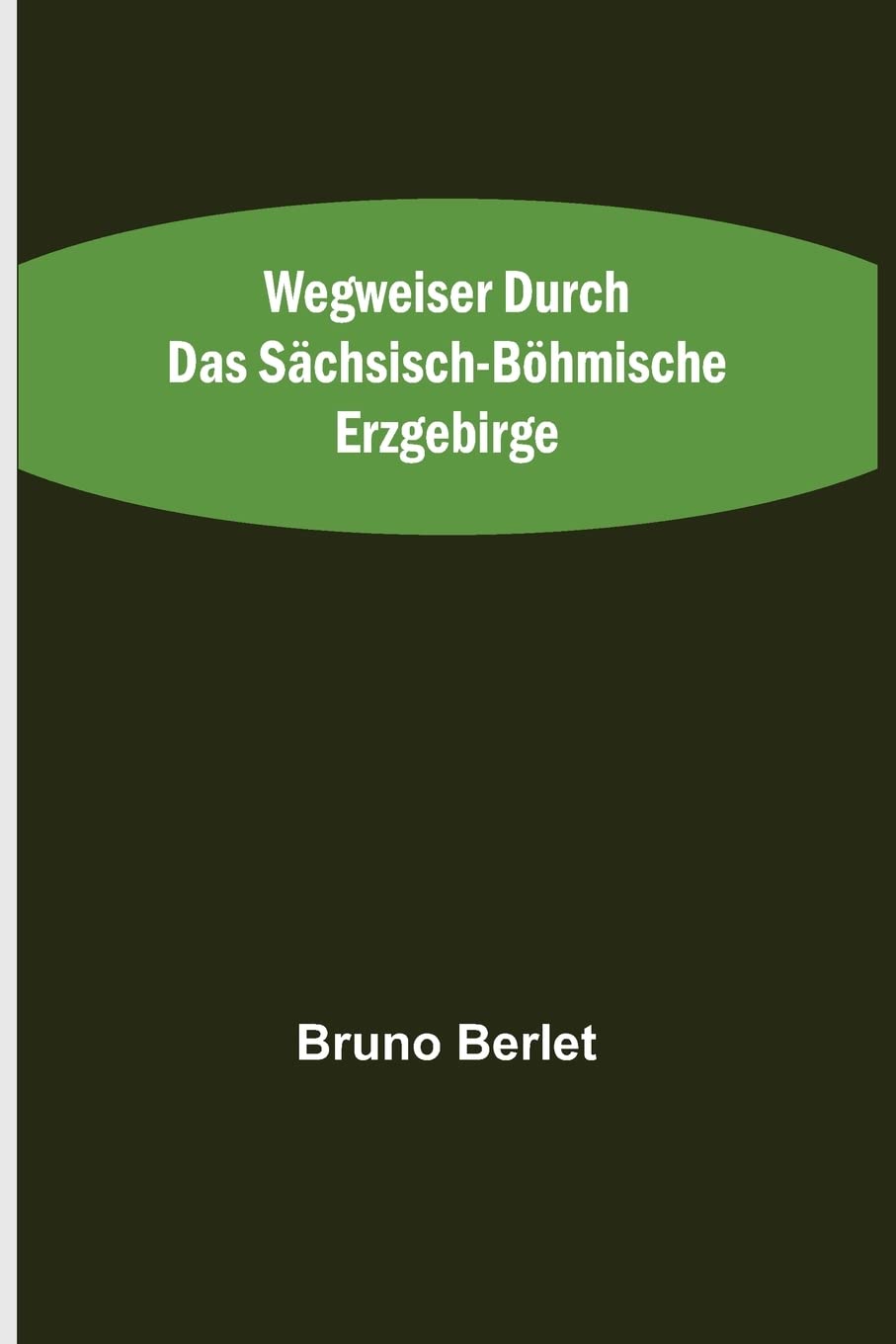 Wegweiser durch das sächsisch-böhmische Erzgebirge (German Edition)