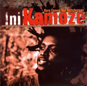 Here Comes the Hotstepper [Vinyl]