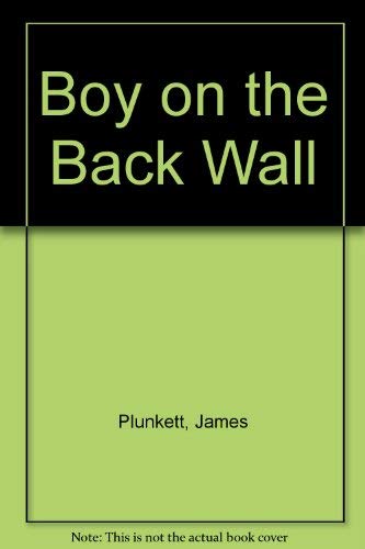 Boy on the Back Wall