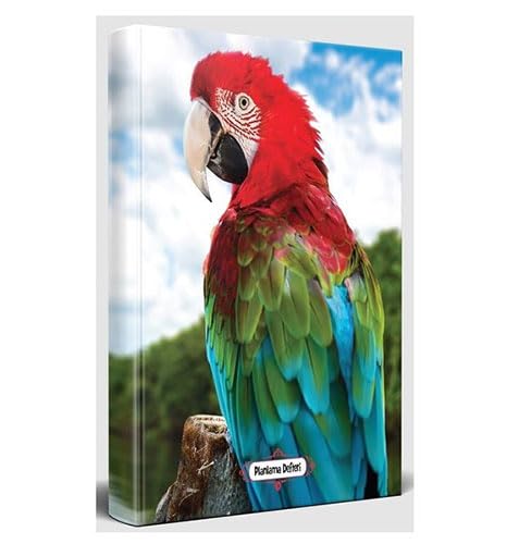 Timeless Planning Book - Rainbow