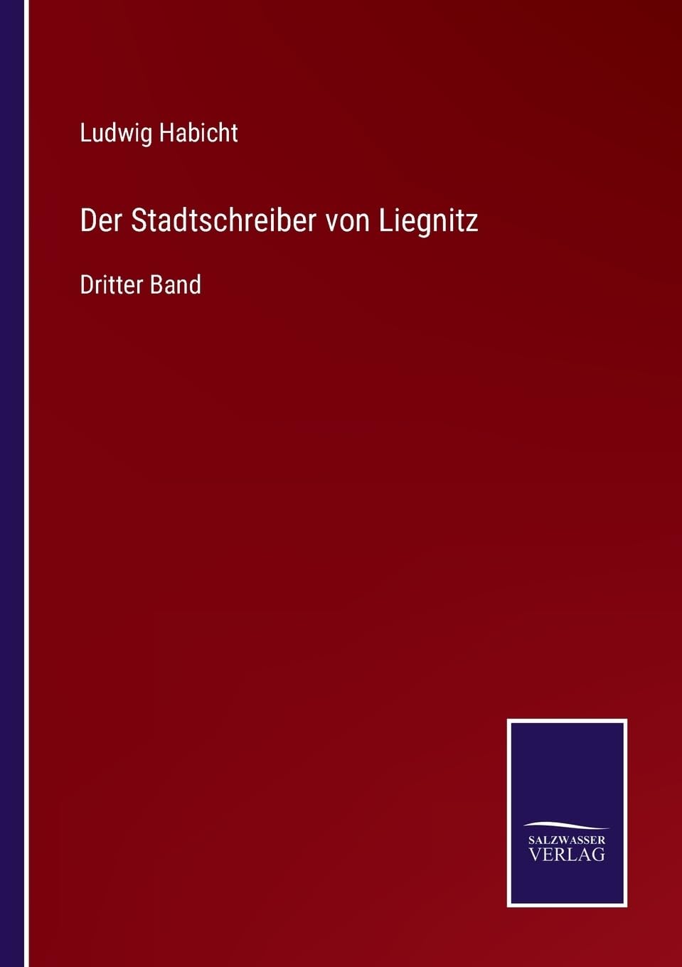 Der Stadtschreiber von Liegnitz: Dritter Band (German Edition)