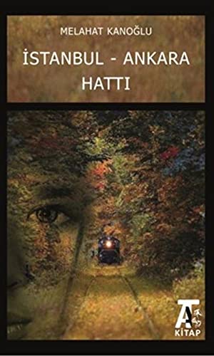 Istanbul - Ankara Hatti