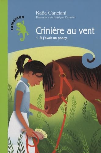 crinière au vent t.1 ; si j'avais un poney"