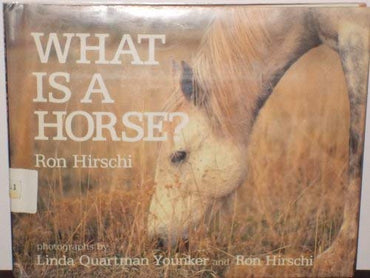 What Is a Horse?