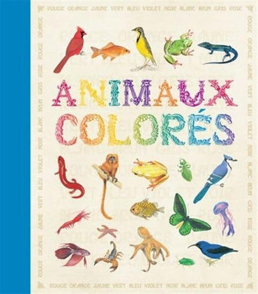Animaux Colores