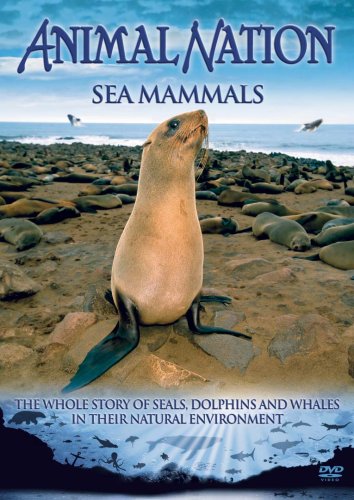 Animal Nation - Sea Mammals [DVD][UK Import]