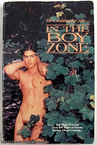In the Boy Zone