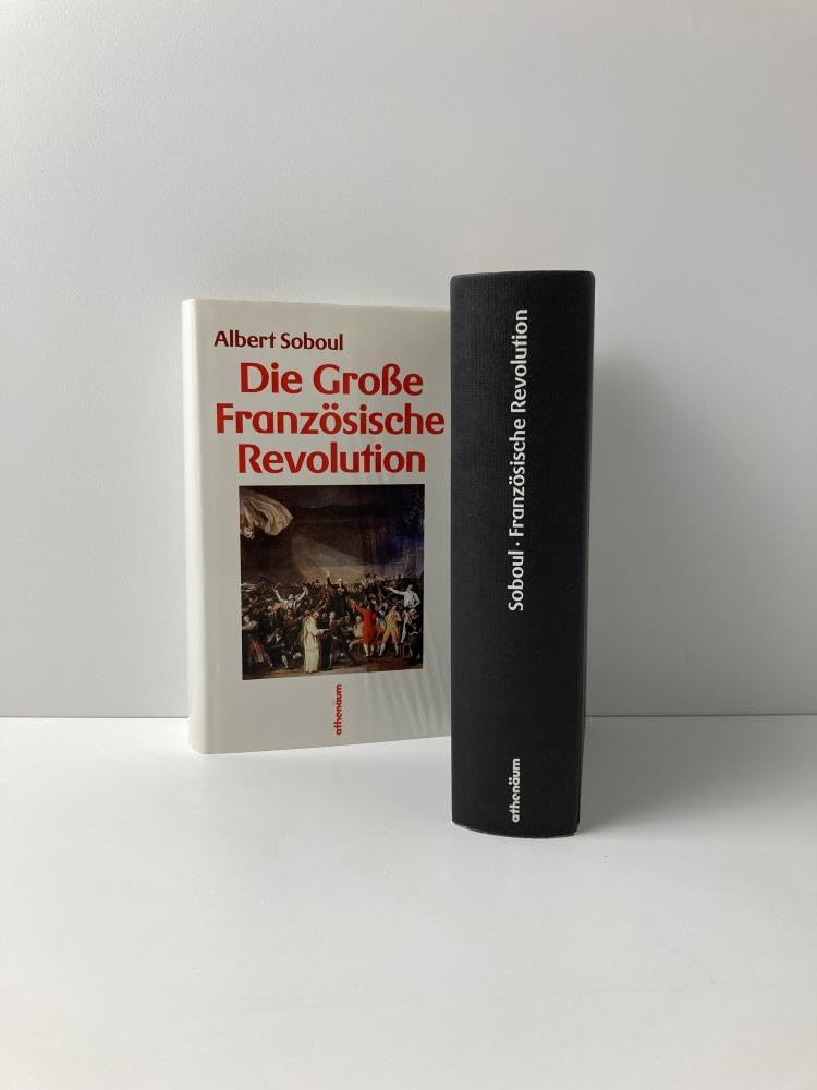Die Grosse Französische Revolution. Ein Abriss ihrer Geschichte (1789-1799)