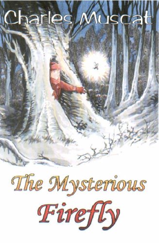 The Mysterious Firefly