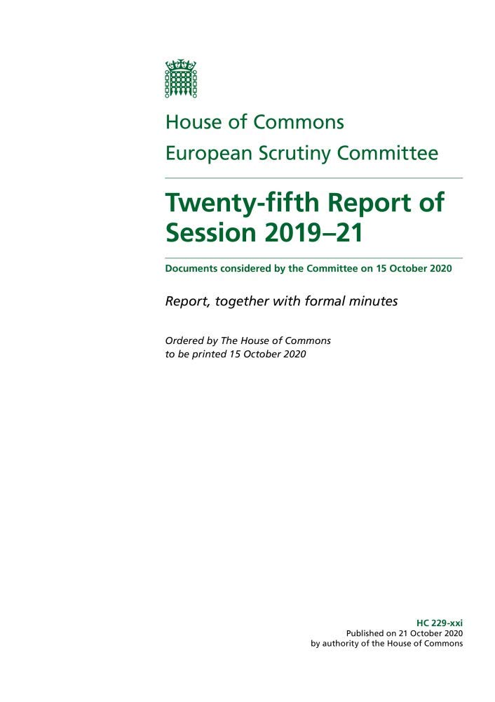 European Scrutiny Committee 25th Report of Session 2019-21 (House of Commons Paper) HC 229-xxi