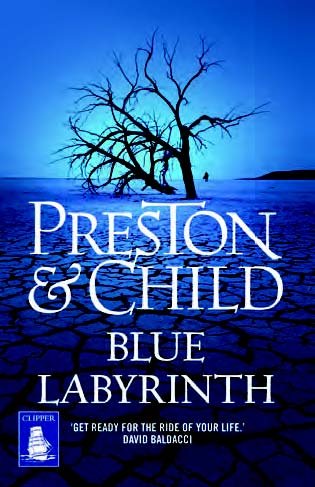 Blue Labyrinth (Large Print Edition)