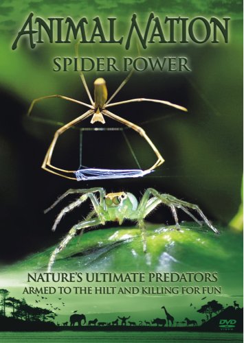 Animal Nation - Spider Power [Import anglais]