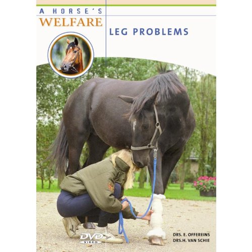 A Horse's Welfare - Leg Problems [DVD] - All Regions