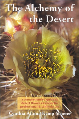 The Alchemy of the Desert: A Comprehensive Guide to Desert Flower Essences