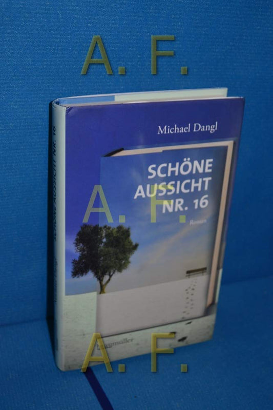 Schöne Aussicht Nr. 16: Roman