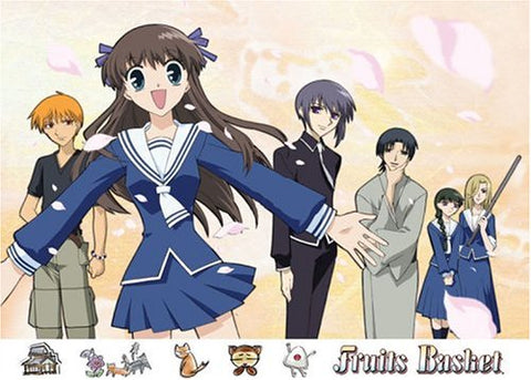 Fruits Basket (Box Set) [DVD]