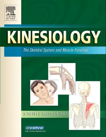 Kinesiology: The Skeletal System and Muscle Function