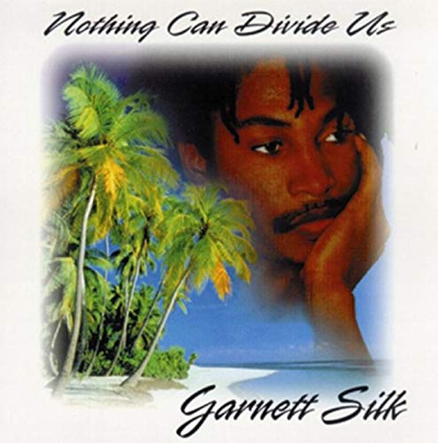 Nothing Can Divide Us [Vinyl]