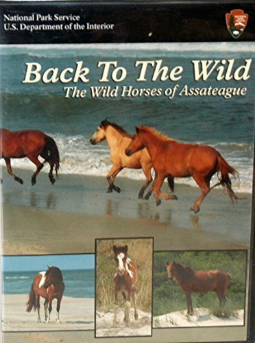 Back to the Wild: The Wild Horses of Assateague