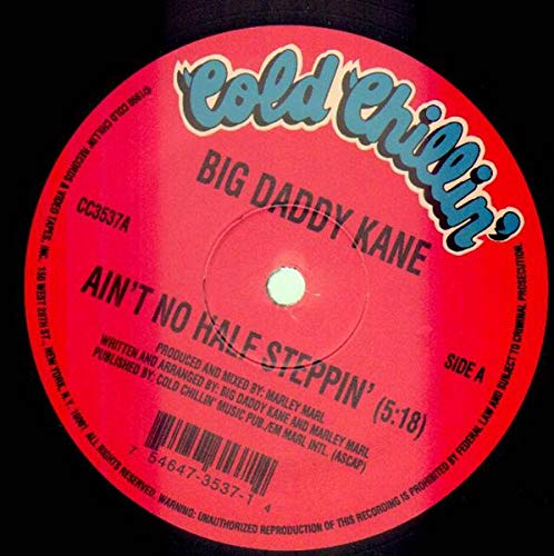 Ain't No Half Steppin [Vinyl]