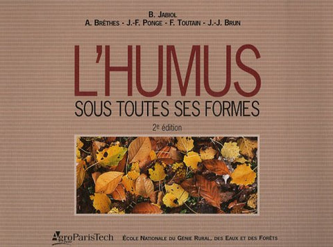 L'humus sous toutes ses formes