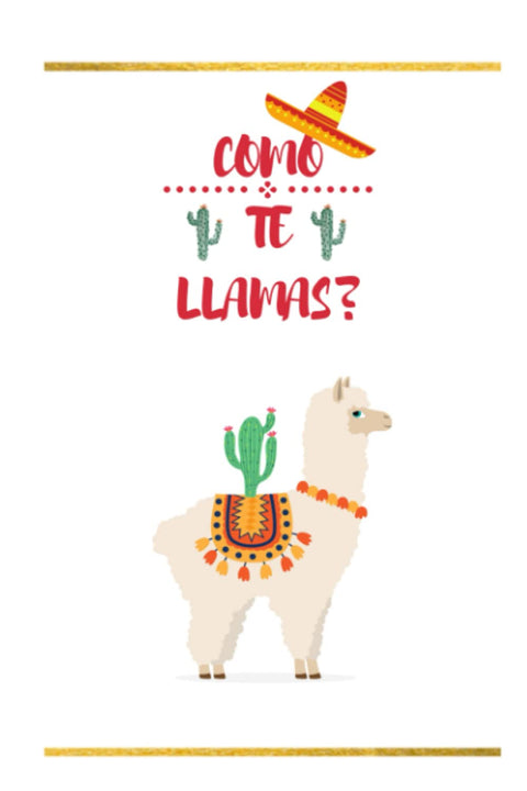 Llama Journal : Como Te LLamas?