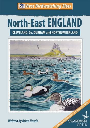 Best Birdwatching Sites: North-East England