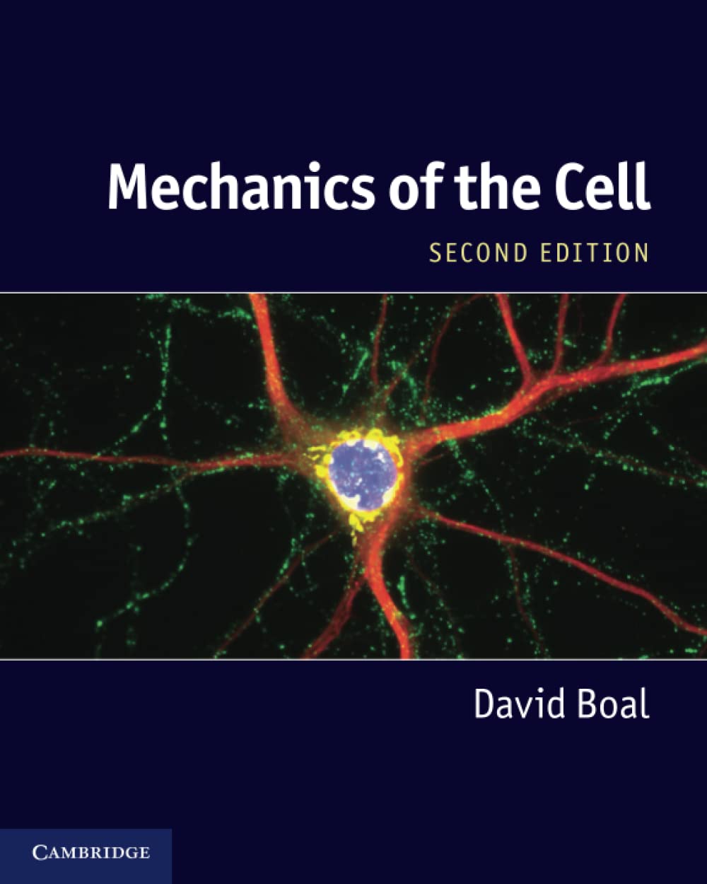 Mechanics of the Cell