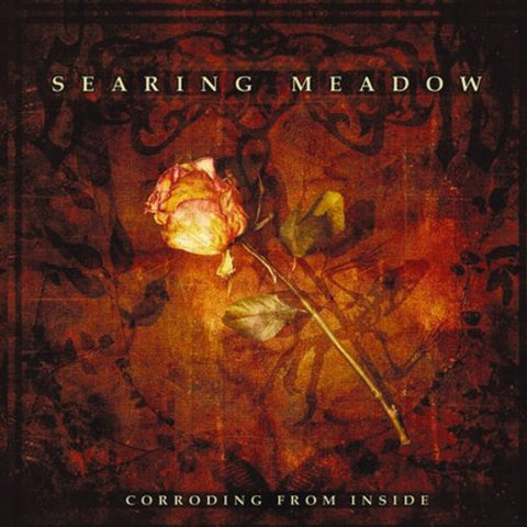 Corroding From the Inside
