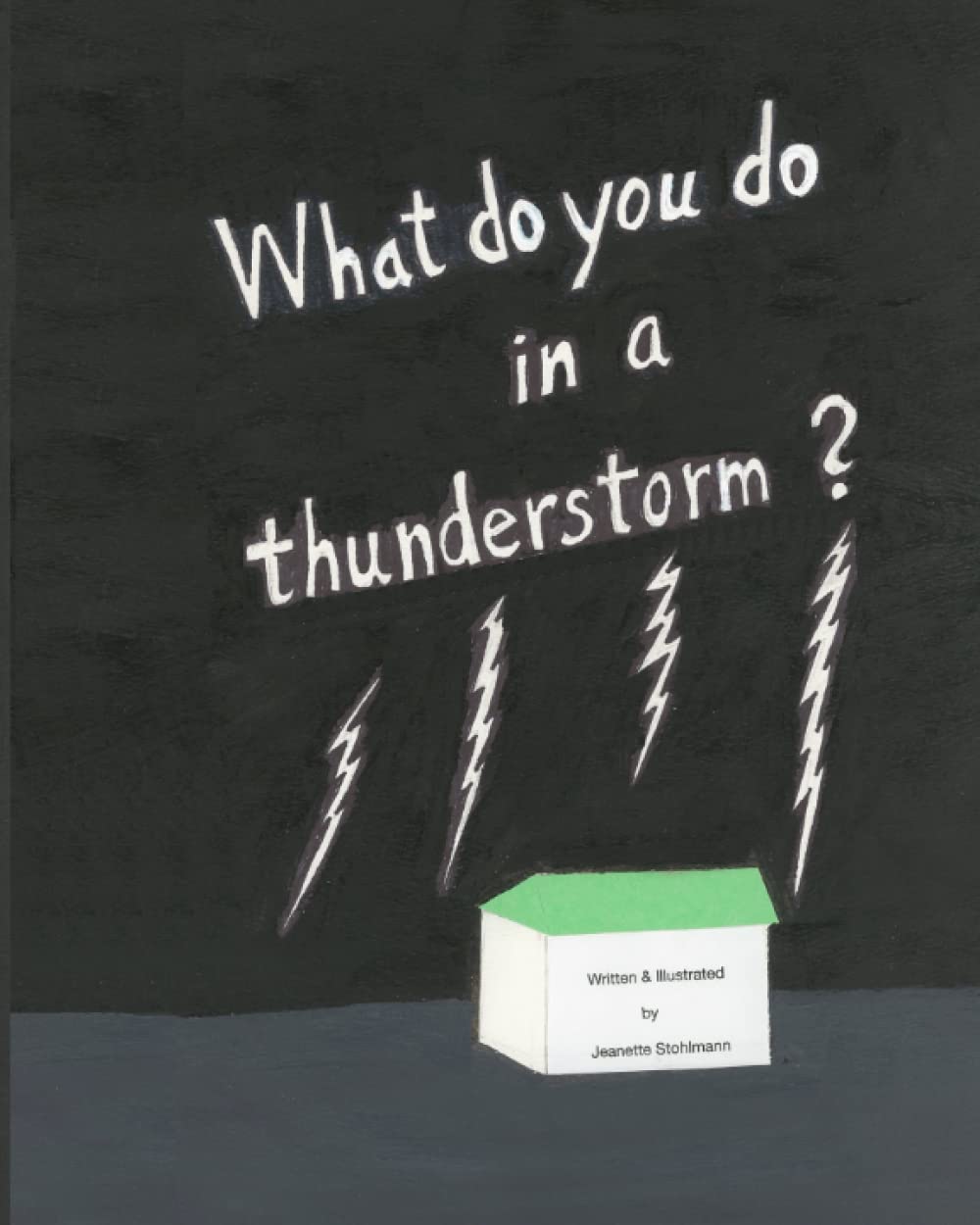 What Do You Do in a Thunderstorm?