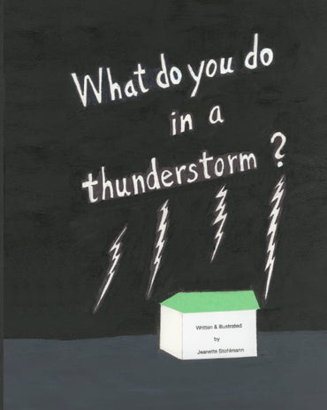 What Do You Do in a Thunderstorm?
