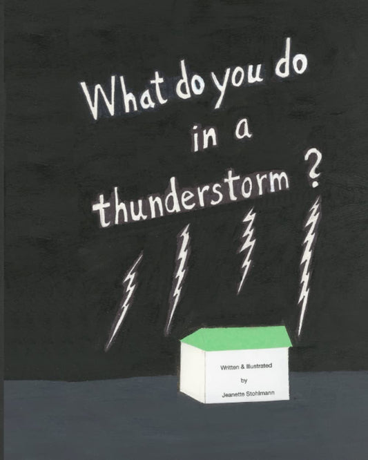 What Do You Do in a Thunderstorm?