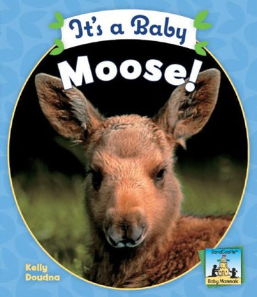 It's a Baby Moose (Baby Mammals)