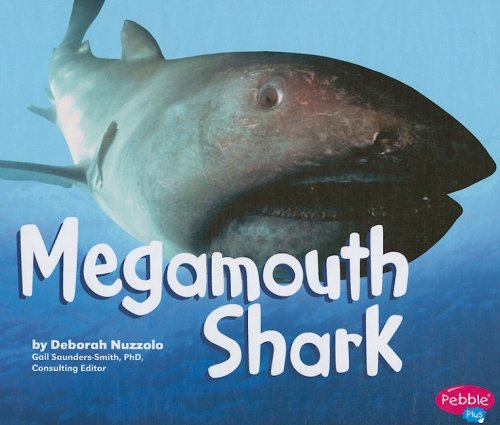 Megamouth Shark (Pebble Plus: Sharks)