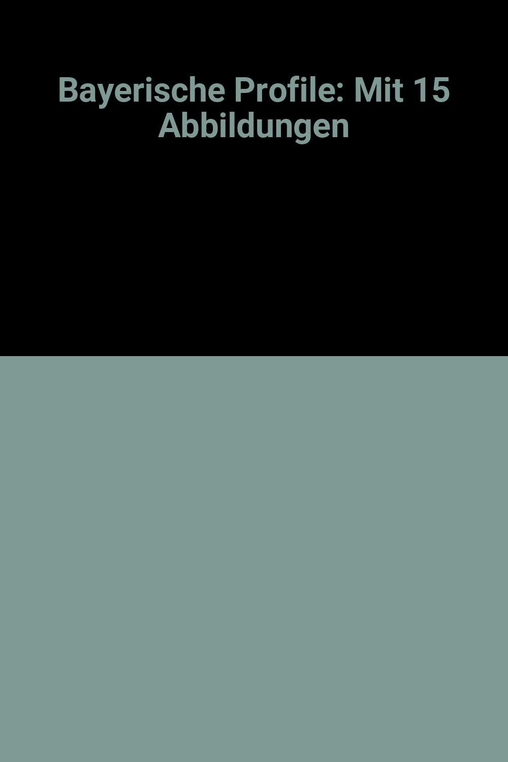 Bayerische Profile: Mit 15 Abbildungen (German Edition)