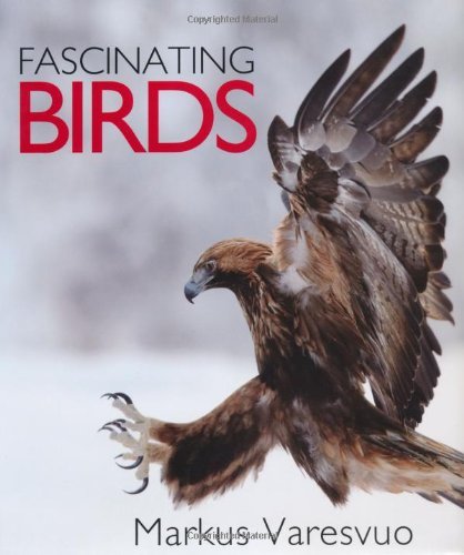 Fascinating Birds of Markus Varesvuo on 05 August 2012