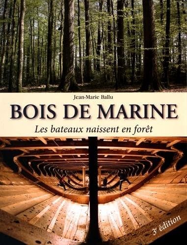BOIS DE MARINE: LES BATEAUX NAISSENT EN FORET