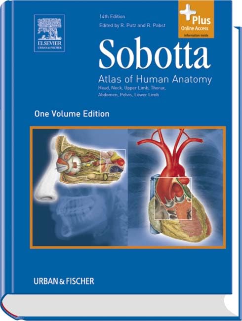 Sobotta - Atlas of Human Anatomy: Head, Neck, Upper Limb, Thorax, Abdomen, Pelvis, Lower Limb