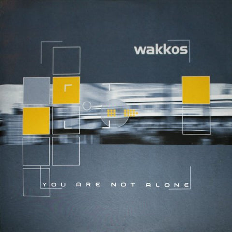 You Are Not Alone [Vinyl 12