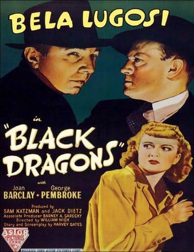 Black Dragons (UK PAL Region 0)