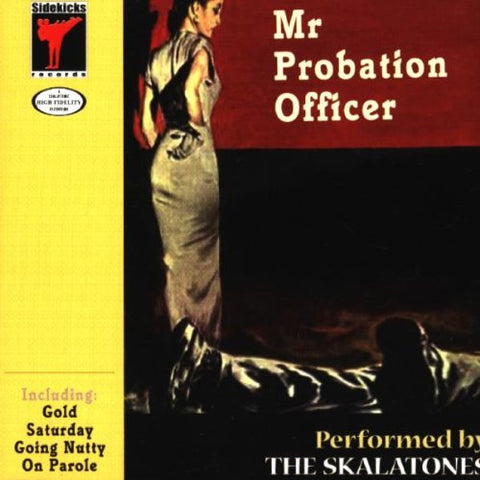 Mr Probation Officer