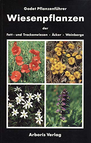 Wiesenpflanzen der fett- und Trockenwiesen - Acker - Weinberge