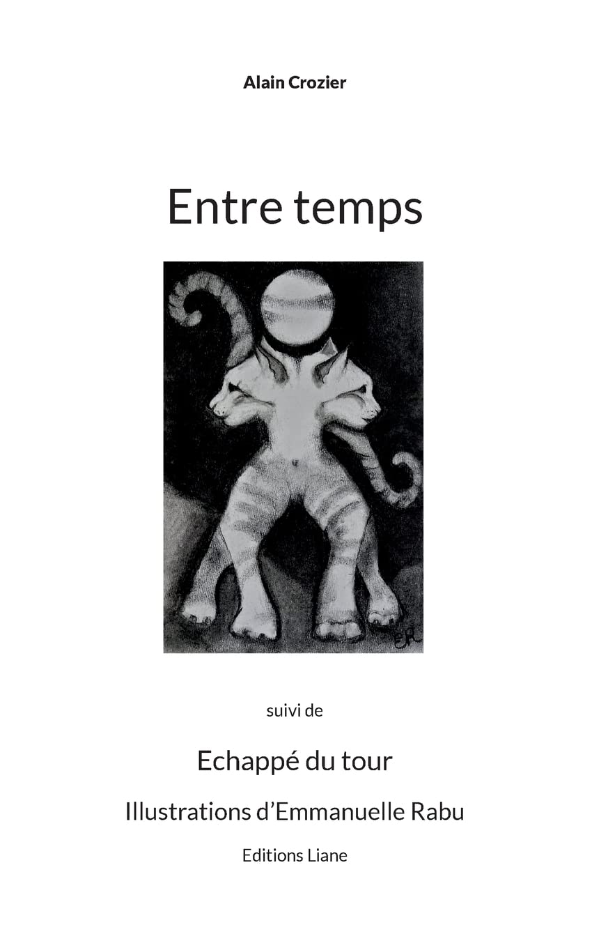 Entre temps (French Edition)
