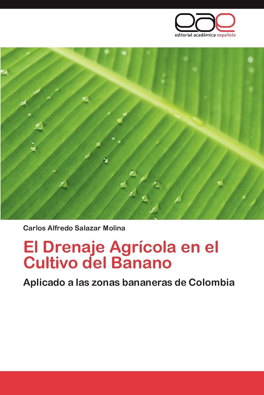 El Drenaje Agrícola en el Cultivo del Banano: Aplicado a las zonas bananeras de Colombia (Spanish Edition)