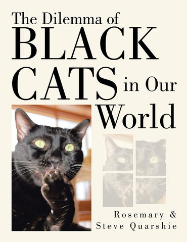 The Dilemma of Black Cats in Our World
