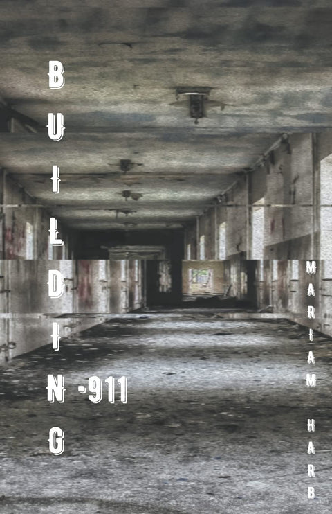 Building N.911 (Take a Hint)