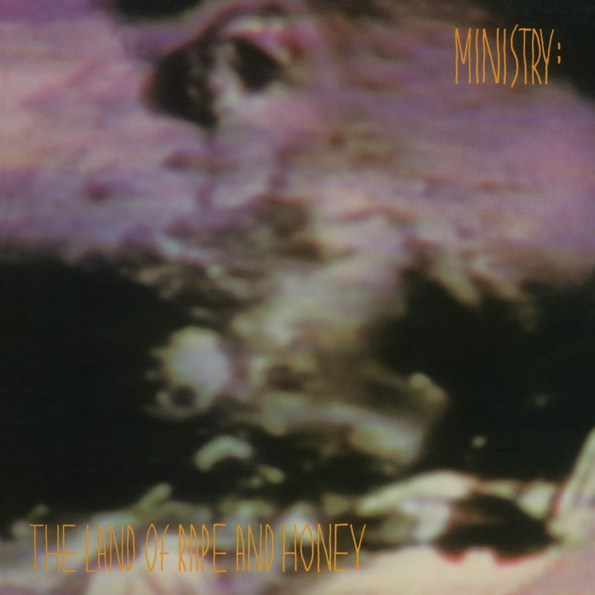 Land Of Rape & Honey (180G/Orange & Gold Mixed Vinyl)