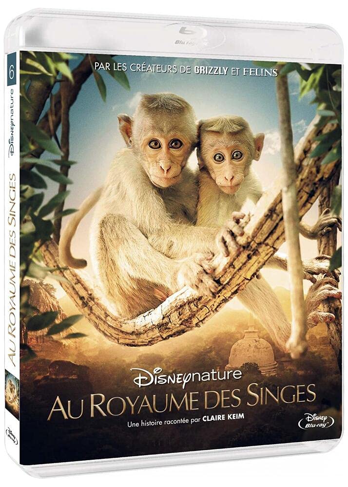 Au Royaume des Singes