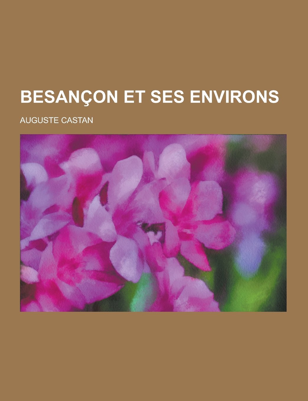 Besancon Et Ses Environs (French Edition)
